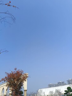 蓝天之下的建筑与树木