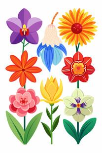 多彩花卉插画