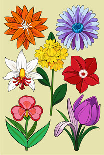 多彩花卉插画