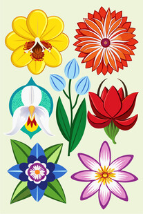 多彩花卉图案集合