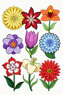 多彩花卉插画