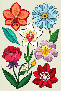 多彩手绘花卉图案集合