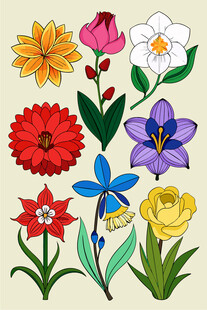 多彩花卉插画