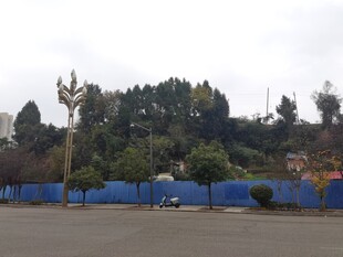 蓝墙环绕的开阔户外场地