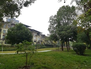 小区内的绿化景观