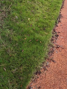 草地旁的红色碎石小径