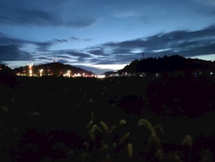 夜幕下的田野与远处灯火