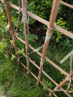 竹制围栏绿意环绕