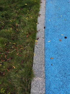 蓝色步道旁的绿植与落叶