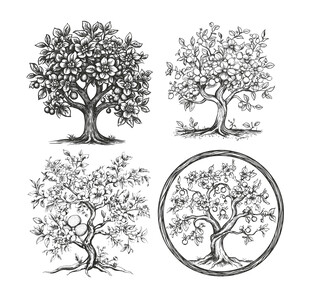 手绘树木