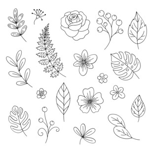 手绘花卉树叶