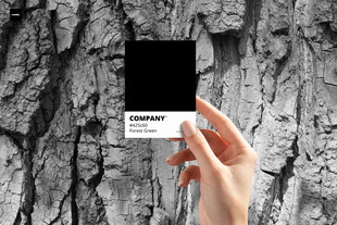 手举芯片于粗糙石面