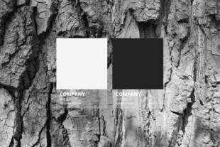 黑白方块贴于粗糙树皮上