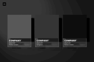 黑色简约公司名片模板