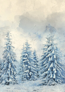 冬日雪景中的挺拔雪松