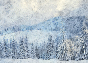 冬日雪景中的静谧松林