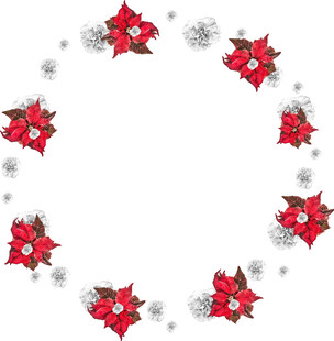 圣诞红花朵雪花装饰圈