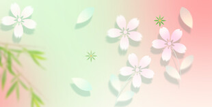 春日烂漫樱花飘落景象