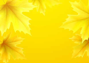 金黄枫叶背景图