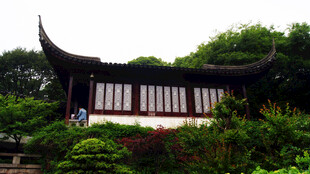 中式古建隐于葱郁绿植间