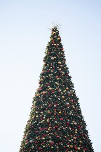 高大圣诞树装饰璀璨