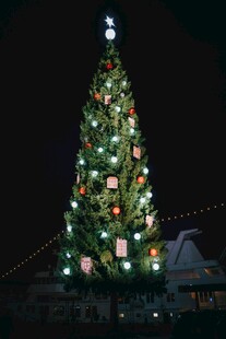 璀璨圣诞树点亮夜空