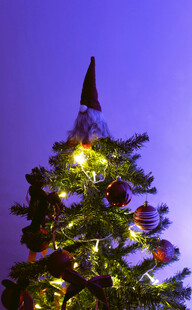 装饰精美的亮灯圣诞树