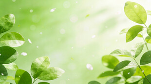 清新绿叶背景图