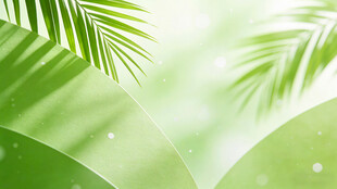 清新绿意棕榈叶背景图