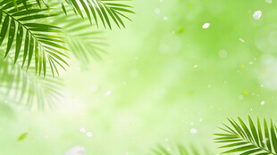 清新绿意棕榈叶背景图