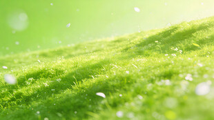 翠绿草地 清新自然美景