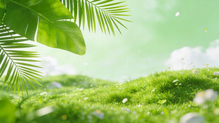 清新绿意盎然的自然草地