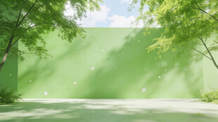 绿意墙前林荫静谧空间