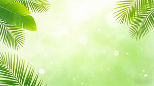 清新绿意棕榈叶背景图