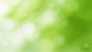 清新绿色光斑背景图
