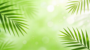 清新绿调棕榈叶背景图