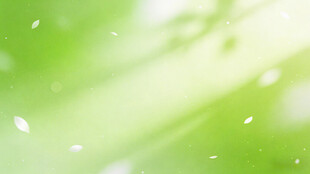 清新绿色光斑梦幻背景