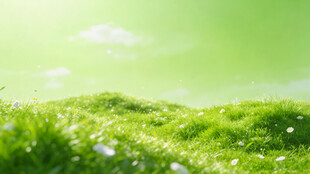 春日绿野 清新自然美景