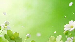 清新春日白花绿叶美景