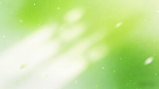 清新绿意光斑背景图