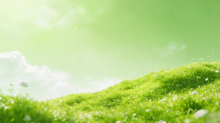 翠绿山坡 阳光洒落美景