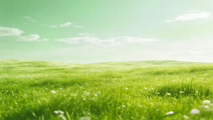 绿色草原 清新自然风景