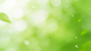 清新绿意背景图