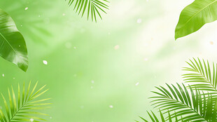 清新绿意热带植物背景
