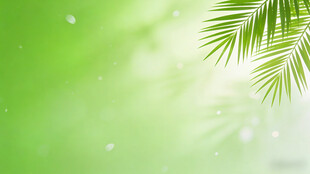 清新绿色棕榈叶背景图