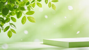 清新绿叶下的简约平台