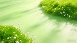 绿意盎然的水边草地