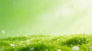 春日绿野 清新自然美景