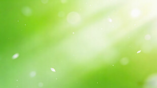 清新绿色光斑梦幻背景