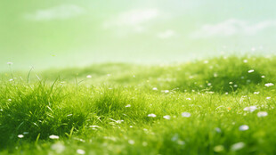 春日绿野 清新自然美景